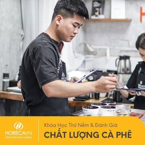 Khóa Học Thử Nếm & Đánh Giá Chất Lượng Cà Phê